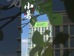 Chińscy dostawcy pieców do spiekania próżniowego